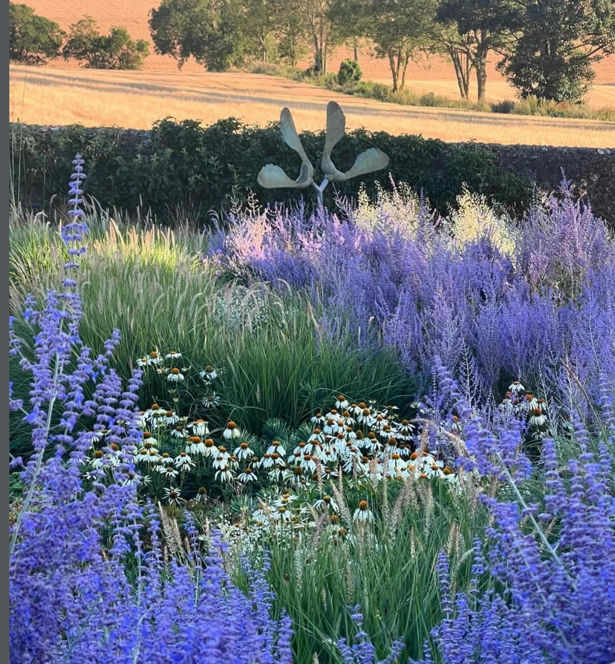 Blue and White Garden Collection | Pollinator Perennials, drought tolerant and Ornamental Grass Bundle- 10 plants