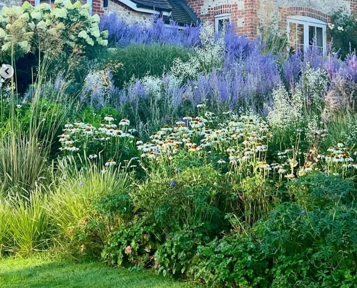 Blue and White Garden Collection | Pollinator Perennials, drought tolerant and Ornamental Grass Bundle- 10 plants